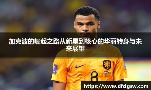 6T体育官网